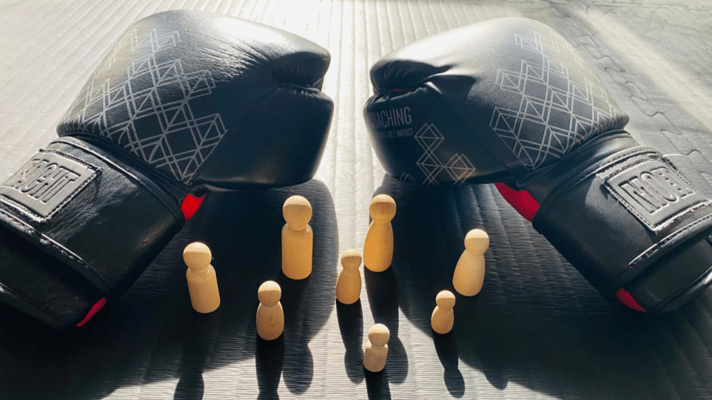 Systemische Bokscoaching